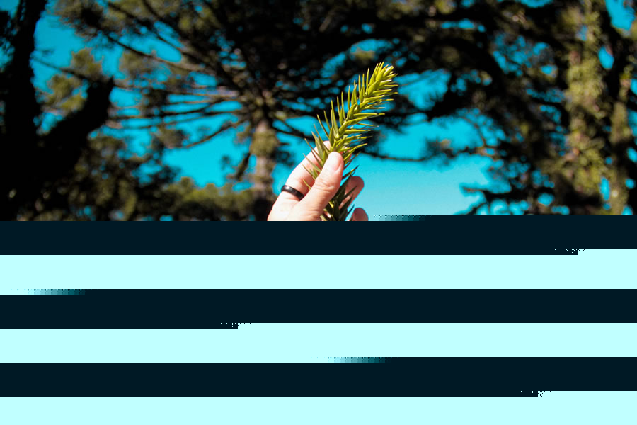 Gramado - 5 dias e 4 noites